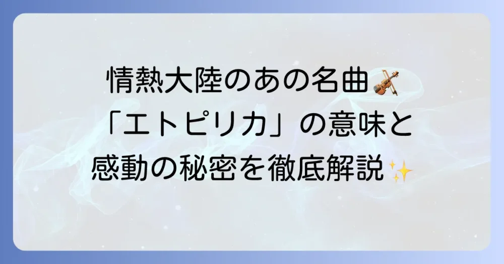 葉加瀬太郎の「エトピリカ」感動の秘密を徹底解説！鳥の意味から楽曲の魅力まで