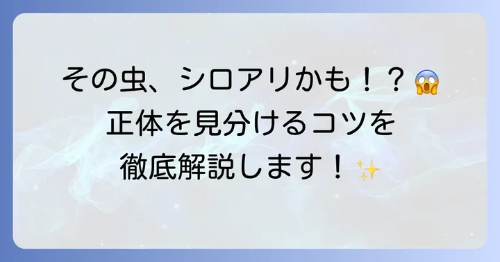 家の中に現れる羽の生えた虫の種類と見分け方