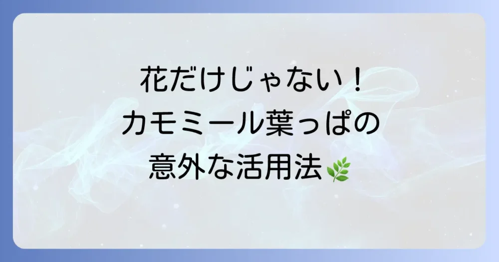 カモミールの葉っぱの使い方を徹底解説！意外な活用法と種類別のコツ