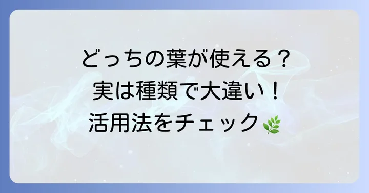 カモミール葉っぱは使える？種類別の特徴と活用への第一歩