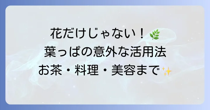 カモミール葉っぱの具体的な使い方：お茶や料理、外用まで