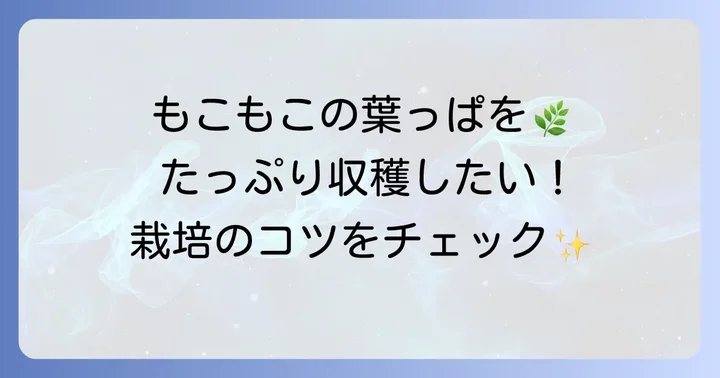 カモミール栽培のコツ：葉っぱを豊かに育てるには