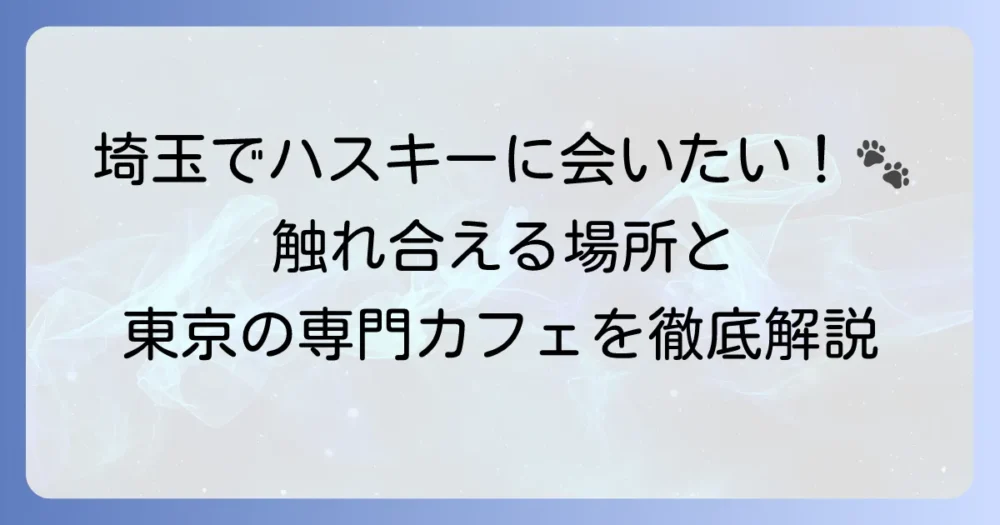 埼玉でハスキーカフェを探すあなたへ！触れ合える場所と東京の専門カフェを徹底解説