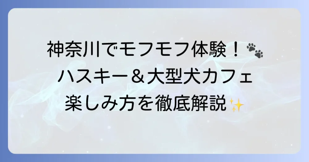 ハスキーカフェへ！神奈川で大型犬と触れ合うおすすめスポットと楽しみ方を徹底解説