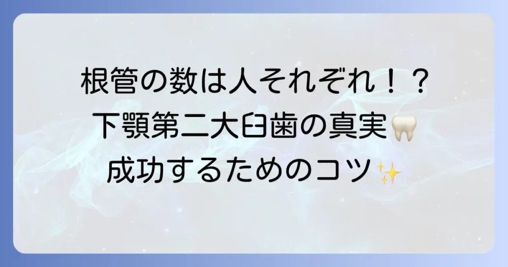 下顎第二大臼歯の根管数の真実！多様な形態と根管治療のポイント