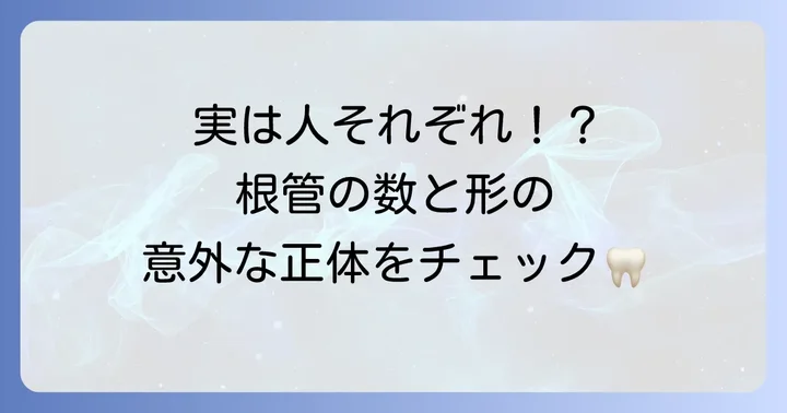 下顎第二大臼歯の根管数とは？基本的な知識と多様な形態
