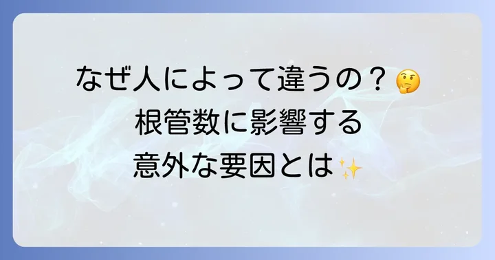 下顎第二大臼歯の根管数に影響を与える要因