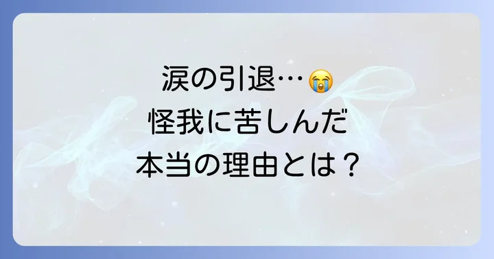 怪我との戦い、そして引退へ