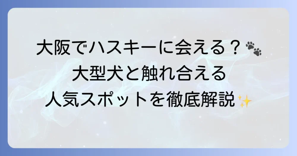 大阪でハスキーに会えるカフェはどこにある？大型犬と触れ合える人気スポットを徹底解説！