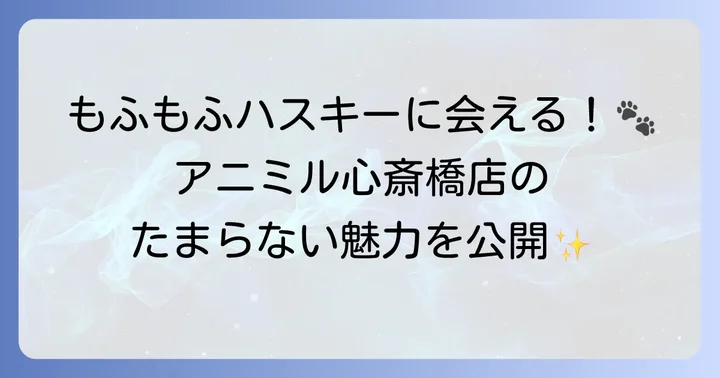 アニミル心斎橋店でシベリアンハスキーと触れ合う魅力