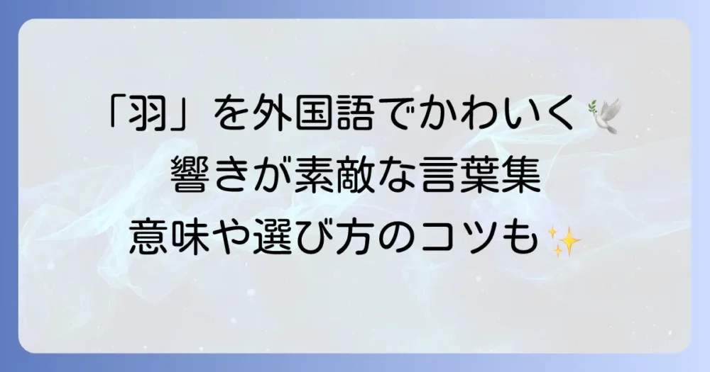 「羽」を外国語でかわいく表現！響きが素敵な言葉と意味を徹底解説