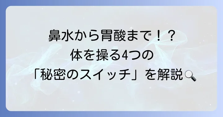 ヒスタミン受容体の種類とそれぞれの働き