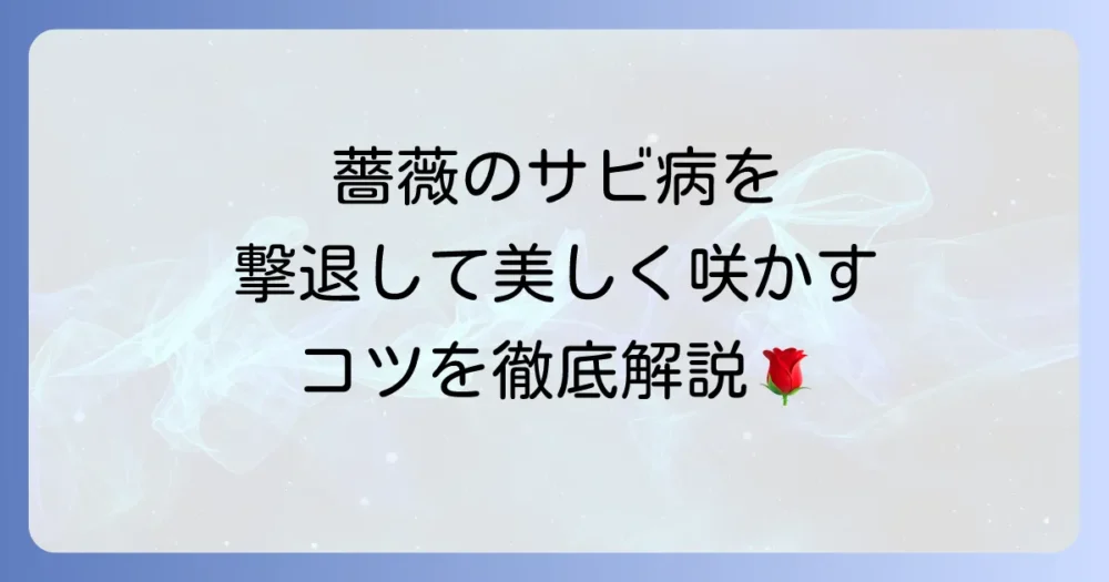 薔薇サビ病の症状と原因から予防・治療までを徹底解説