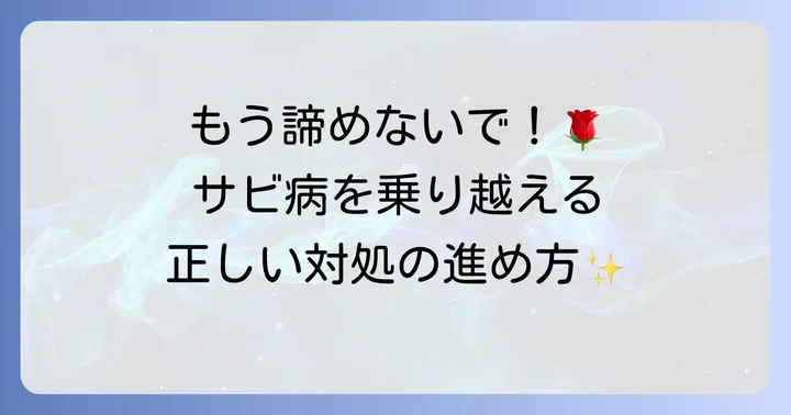 薔薇サビ病の治療方法と対処の進め方