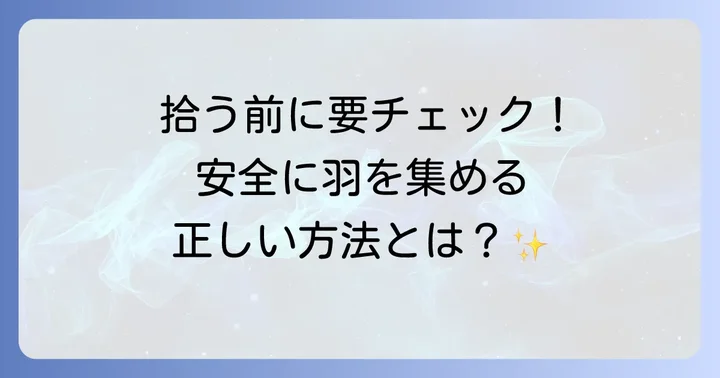 羽の入手方法と知っておきたい注意点