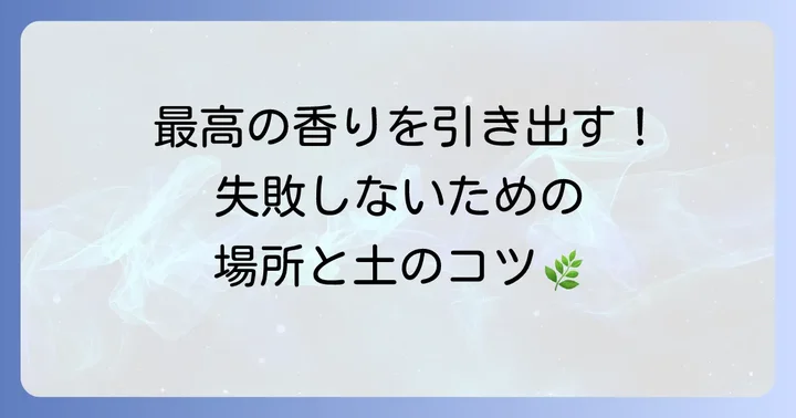地植えを成功させるための場所選びと土壌の準備