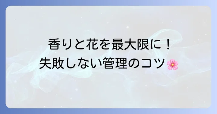 地植え後の管理と年間を通じた育て方