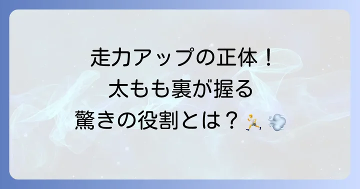 陸上競技でハムストリングが重要な理由