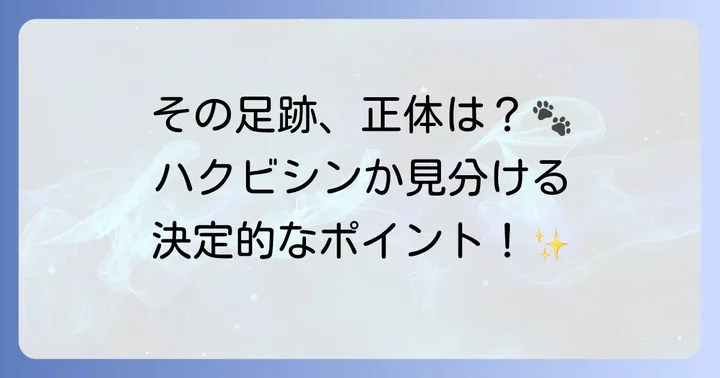 ハクビシンの足跡を見分けるコツとは?特徴を徹底解説
