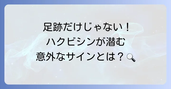 足跡以外でわかるハクビシンの生息兆候