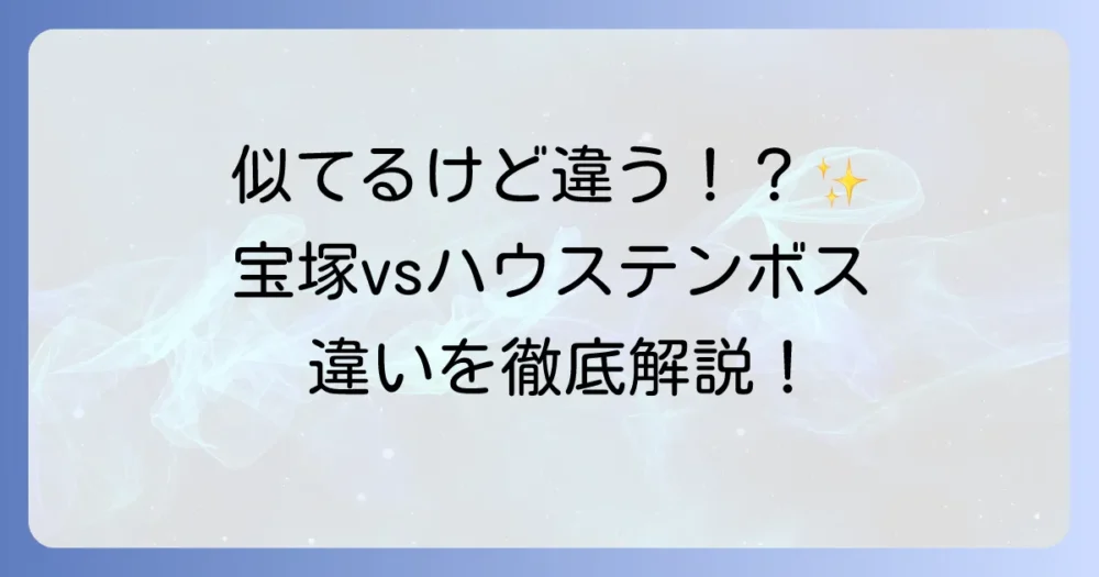 ハウステンボス歌劇団と宝塚歌劇団の違いを徹底比較！歴史から舞台、観劇体験まで