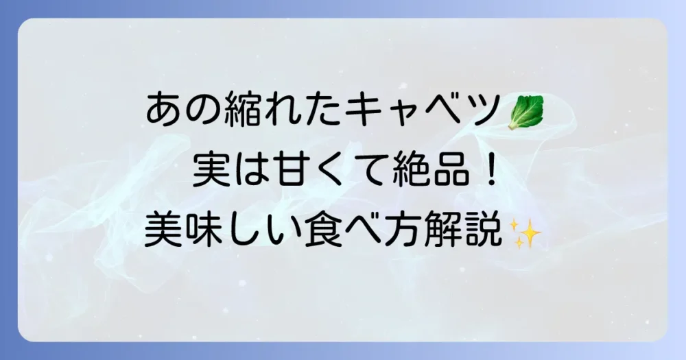 ちぢみキャベツの魅力について徹底解説!旬の時期から美味しい食べ方まで