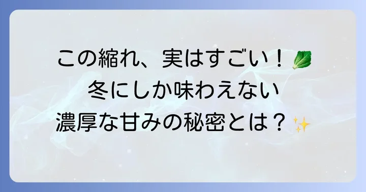 ちぢみキャベツとは?その独特な魅力に迫る