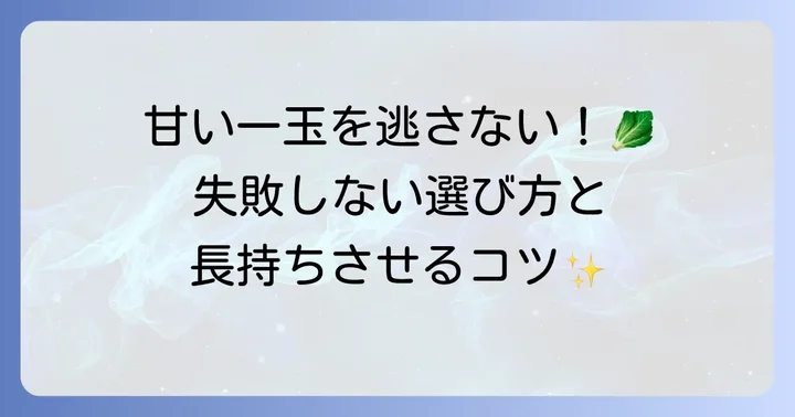 美味しいちぢみキャベツの選び方と長持ちさせる保存方法