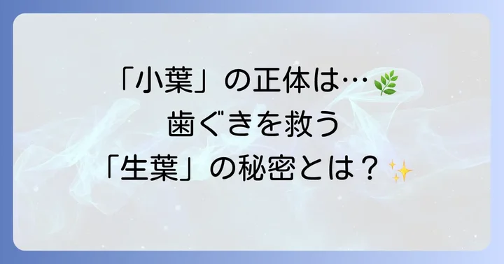 「小葉歯磨き粉」は小林製薬「生葉」のこと！その正体と歯周病ケアへの期待
