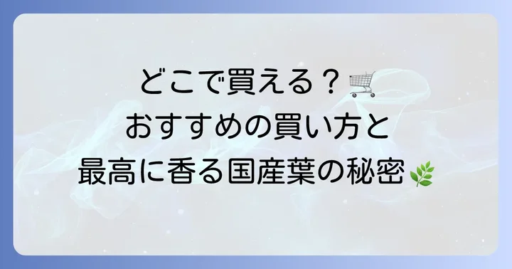 こぶみかんの葉はどこで買える？入手方法を解説