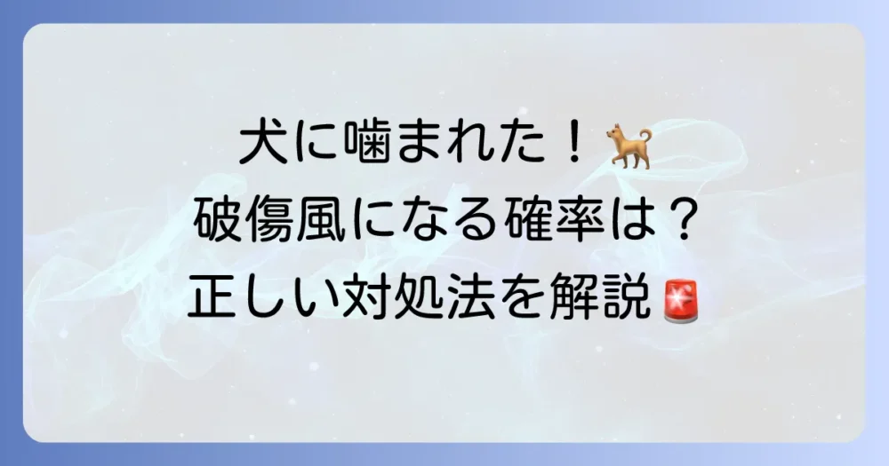 犬に噛まれたら破傷風になる確率は？症状と対処法、予防接種を徹底解説