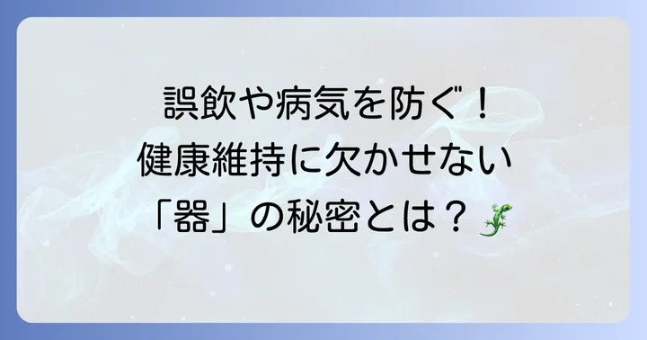 レプタイルディッシュとは？爬虫類飼育に必須の理由