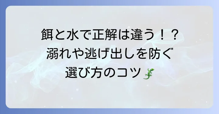 用途別！餌入れと水入れの選び方
