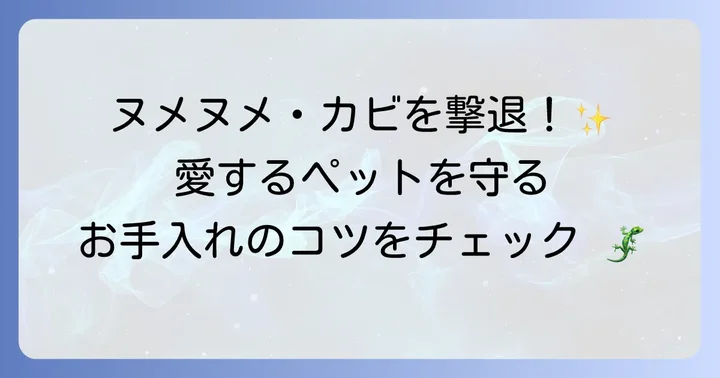 レプタイルディッシュのお手入れ方法と衛生管理