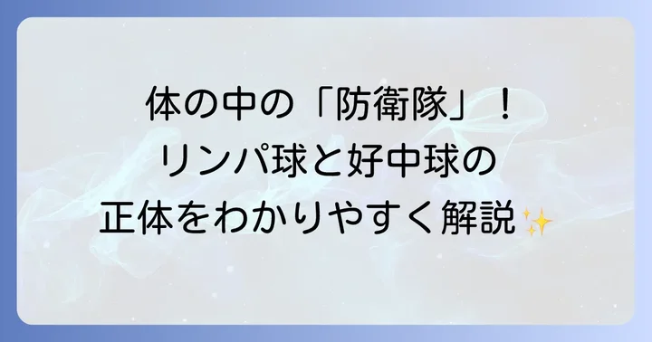 リンパ球と好中球の役割とは？免疫システムの重要な働き