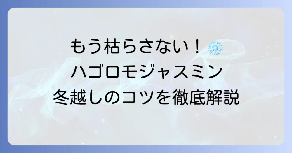 ハゴロモジャスミンの冬越しを徹底解説！枯らさないための管理と防寒対策