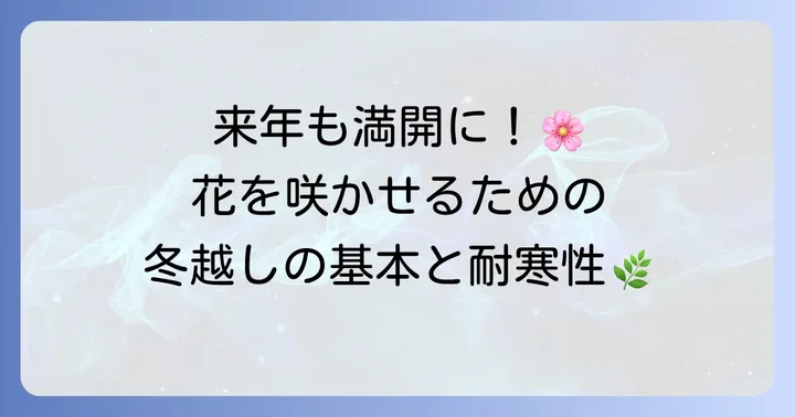 ハゴロモジャスミンの冬越しはなぜ重要?基本と耐寒性を知ろう