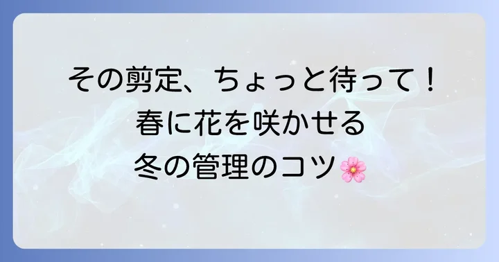 冬越し中のハゴロモジャスミン管理のコツ