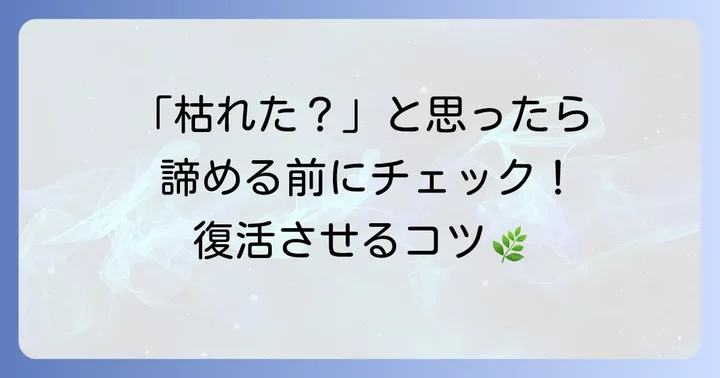 ハゴロモジャスミンの冬越しでよくある失敗と解決策