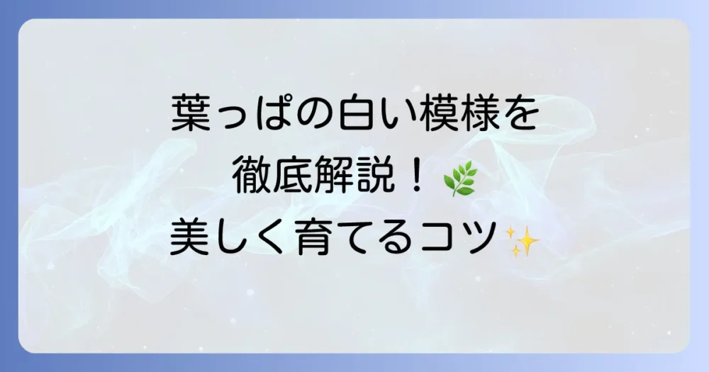 葉っぱに白い模様がある植物の種類を徹底解説！美しい斑入り植物の魅力と育て方