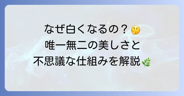 葉っぱに白い模様がある植物の正体とは？斑入り植物の基礎知識