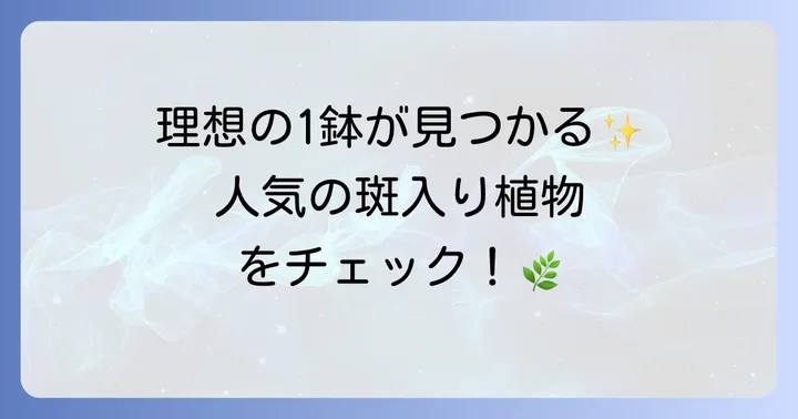 白い模様が美しい！人気の斑入り植物の種類と特徴