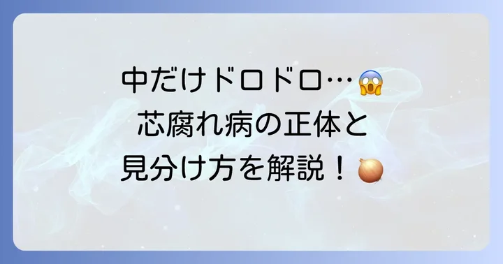 玉ねぎ芯腐れ病とは？その正体と見分け方