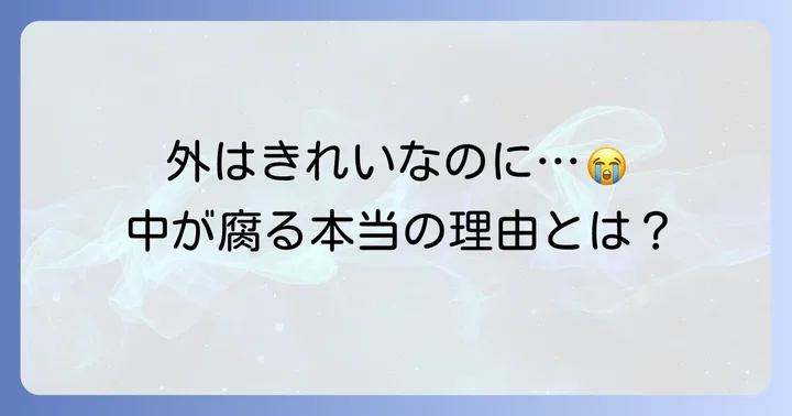 玉ねぎ芯腐れ病の主な原因