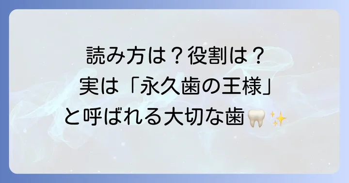 6歳臼歯の正しい読み方と、その重要性