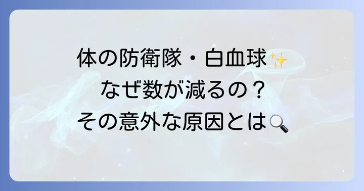 白血球の役割と減少する原因を知ろう
