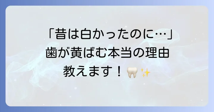 加齢で歯が黄ばむのはなぜ？主な原因を理解しよう