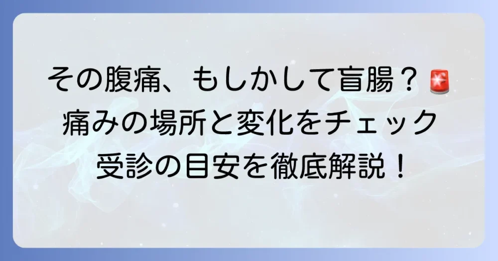 盲腸の痛む場所はどこ?初期症状から緊急性まで徹底解説