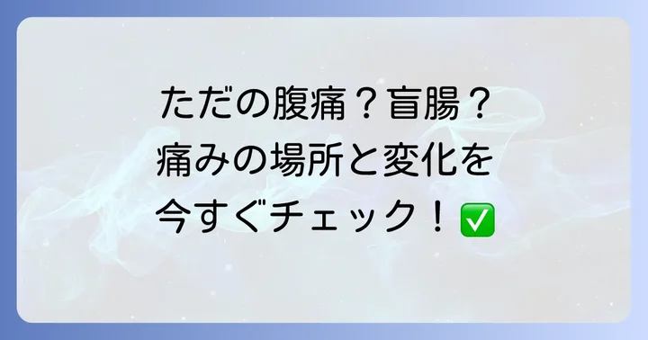 盲腸(虫垂炎)の痛む場所と特徴