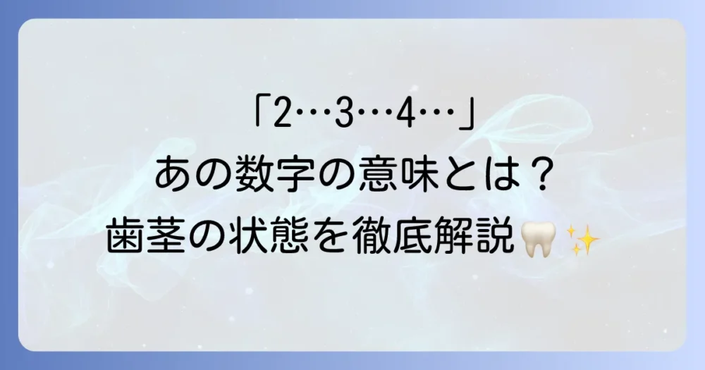 歯茎検査の数字が示す意味とは？健康な歯茎を保つための徹底解説